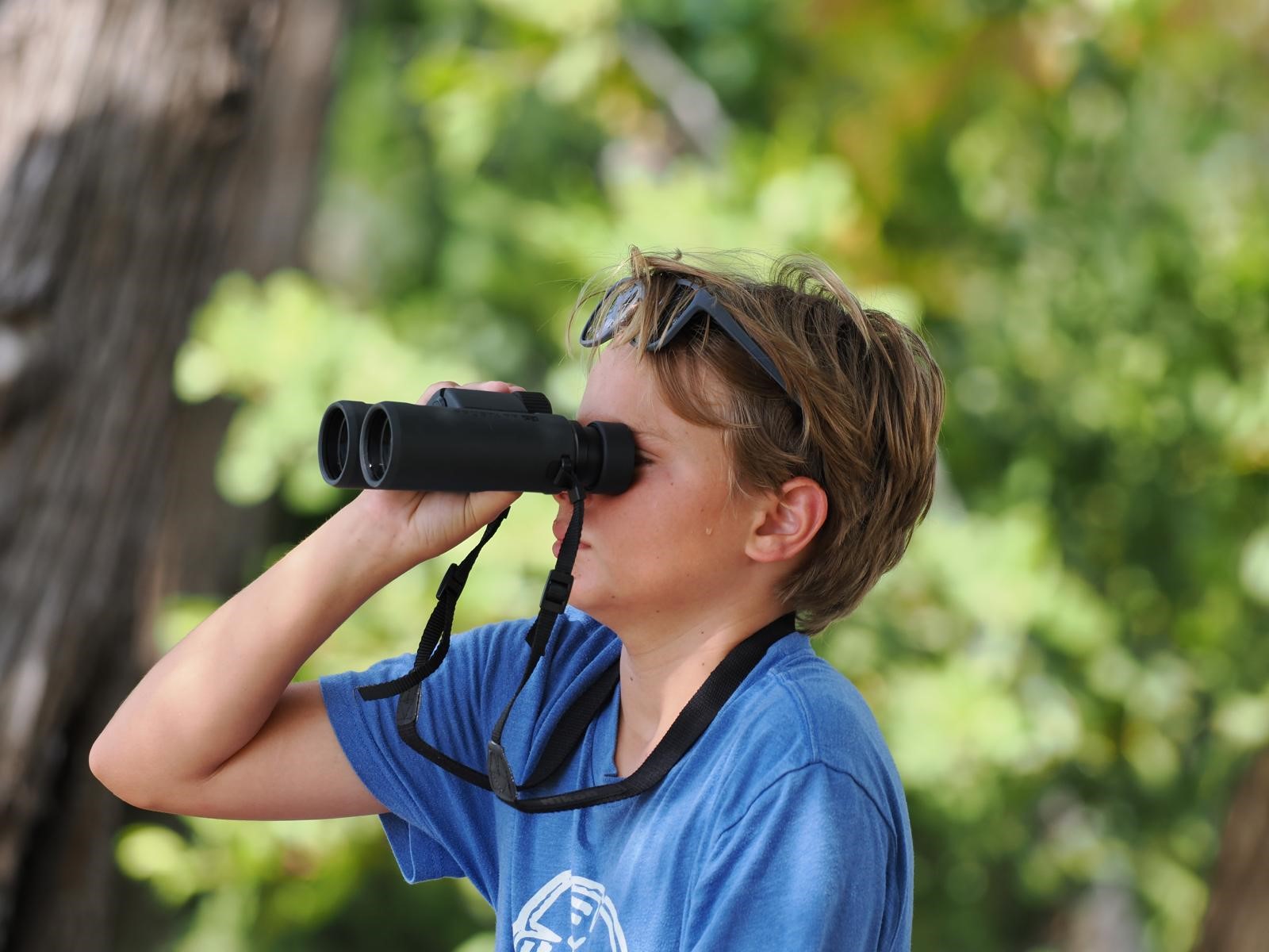 Tonja's nephew Oscar Kirkconnell out birdwatching Photo: Supplied