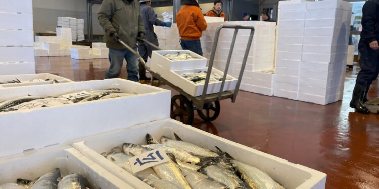 While local herring are more affordable and accessible in Japan, some still look to Alaska for eggs