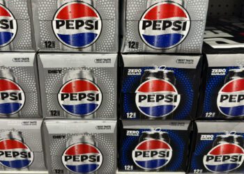 PepsiCo revises 2024 guidance as North America sales lag behind expectations [Video]