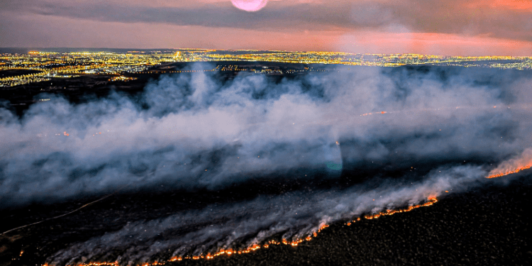 Brazil Is Burning and Agribusiness Must Be Held Liable