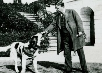 Theodore Roosevelt, the president who served as inspiration for the Teddy Bear – Firstpost