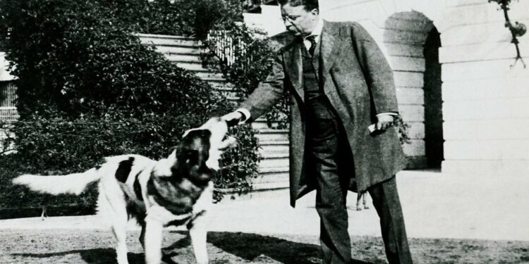 Theodore Roosevelt, the president who served as inspiration for the Teddy Bear – Firstpost