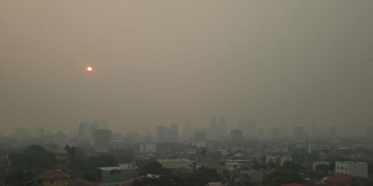 In Bolivia, Indigenous communities struggle to rebuild as wildfires return