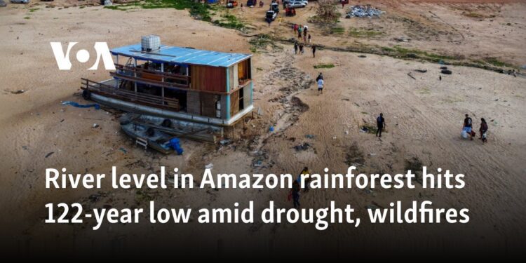 River level in Amazon rainforest hits 122-year low amid drought, wildfires