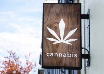 Who Colorado's cannabis industry is backing in Election 2024