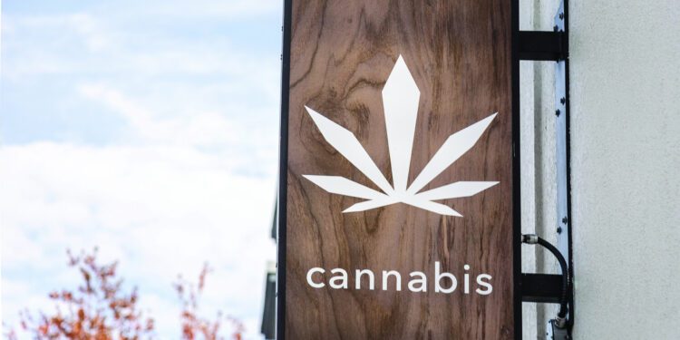 Who Colorado's cannabis industry is backing in Election 2024