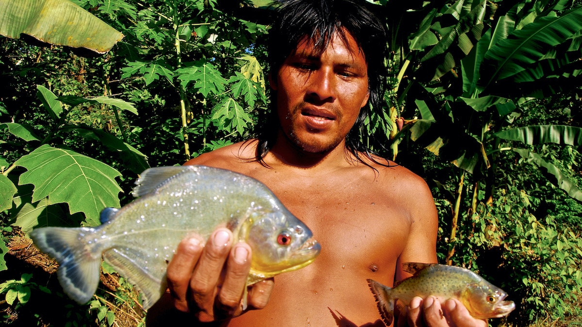 Otobo Baihua, a Waorani man who lives in the Yasuni community of Boanamo in Ecuador's Amazon. ©Ryan P. Killackey / Pollywog Productions