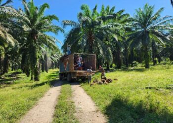 World Bank’s IFC must pay reparations to Honduran farmers, US court rules