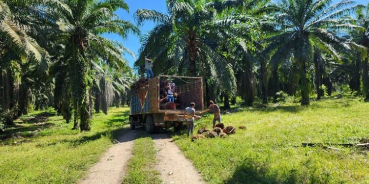 World Bank’s IFC must pay reparations to Honduran farmers, US court rules