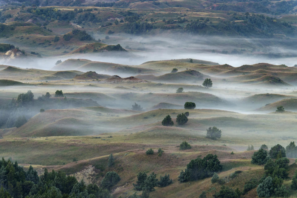 Misty rolling hills landscape with scattered trees and patches of fog, evoking a serene and tranquil travel destination