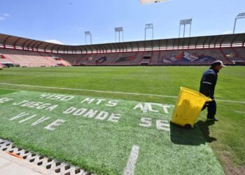 Bolivia are thriving at high altitude in their new home at El Alto – 4,150m above sea level