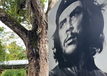 Che Guevara: The Revolutionary Legacy in a Globalised World