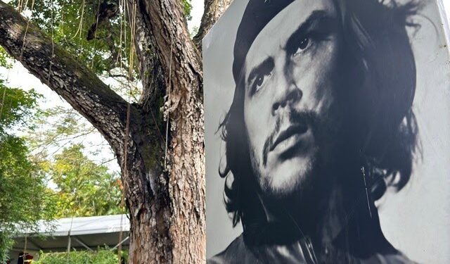 Che Guevara: The Revolutionary Legacy in a Globalised World