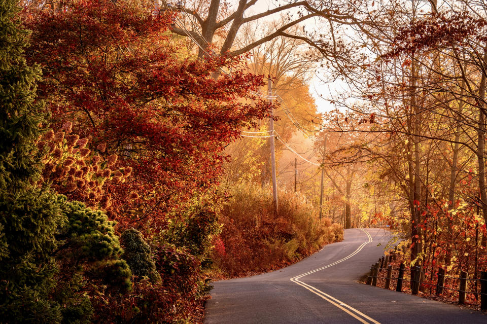 Scenic autumn road winding through a forest with vibrant fall foliage. Ideal for a travel article about autumn travel destinations