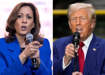 Harris challenges Trump to prove his mental acuity while he claims Democrats want to get rid of cows: Live