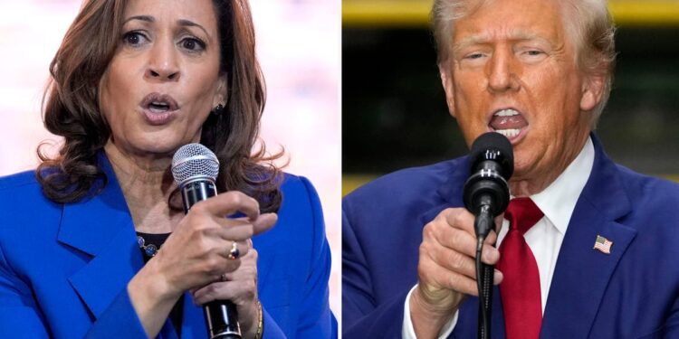 Harris challenges Trump to prove his mental acuity while he claims Democrats want to get rid of cows: Live