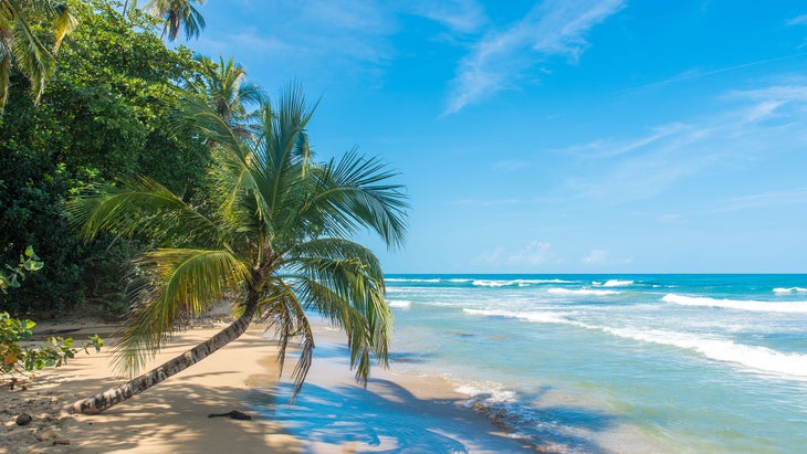 Playa Chiquita beach with turquoise water and palm trees near Puerto Viejo