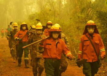 Bolivia's Rights of Nature Laws Go Unenforced as the Amazon Burns