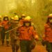Bolivia's Rights of Nature Laws Go Unenforced as the Amazon Burns