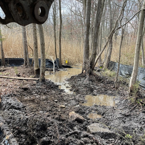 A photo from a resident shows the start of a state-ordered cleanup of tons of rubble and stone in fragile wetlands.