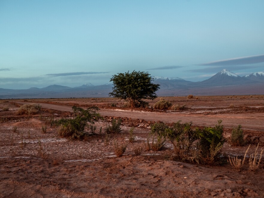 The Atacama Desert in. Antofagasta, Chile.