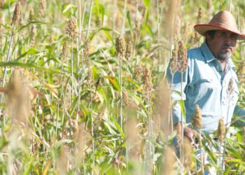 Water For Life Featured, Reviews Film Threat