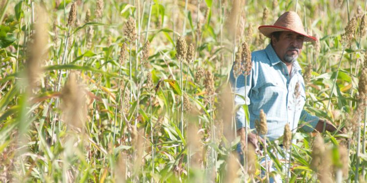 Water For Life Featured, Reviews Film Threat