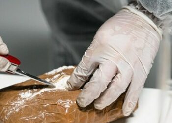 Delhi-Gujarat haul: Drugs brought from S America, purified in Ankleshwar | India News