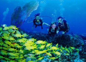 Maduro Dive Provides Highest Profit on DEMA Show Group Specials