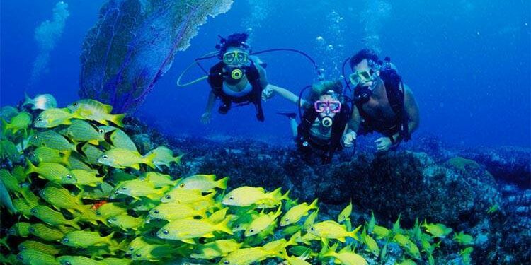 Maduro Dive Provides Highest Profit on DEMA Show Group Specials