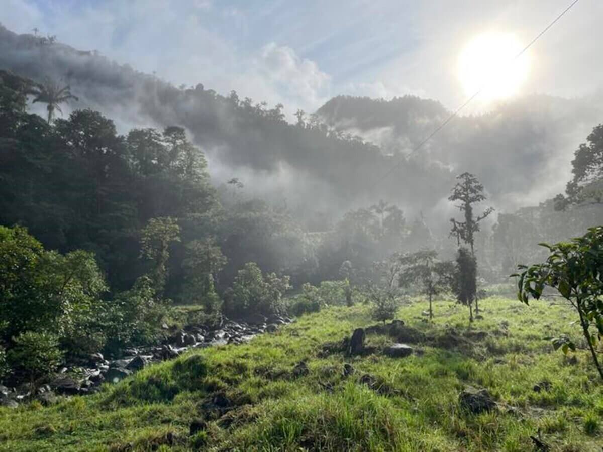 Dawn mist at sunrise under one of the dozen surviving forest fragments in the Centinela region of Ecuador