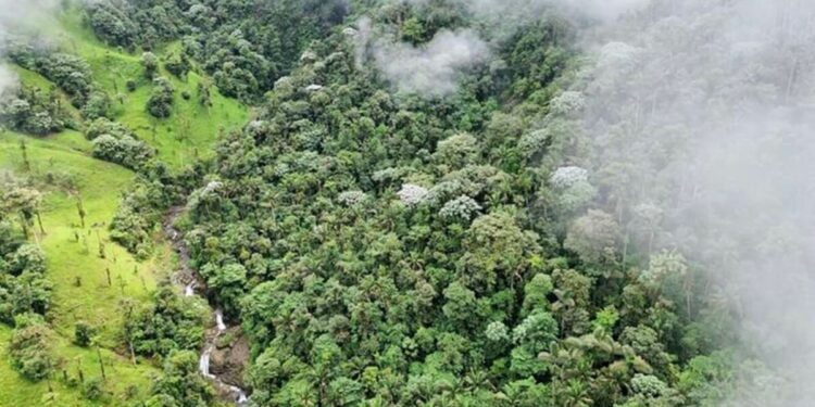 Recent mass extinction event never actually happened, shock study reveals