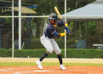 Top 31 Dominican Summer League Prospects In 2024