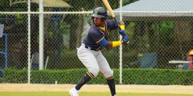 Top 31 Dominican Summer League Prospects In 2024