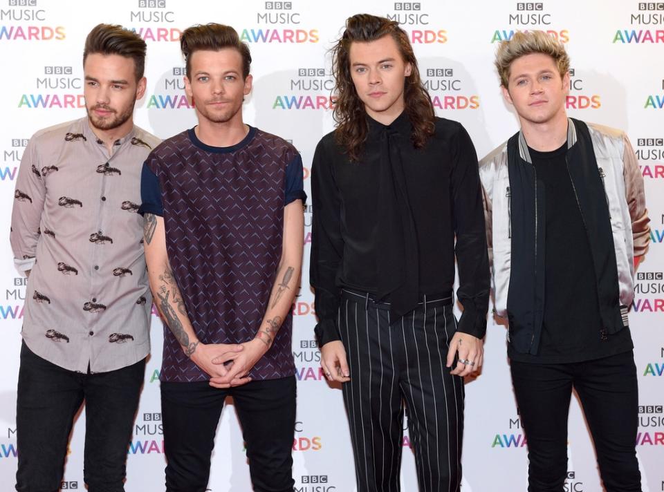 One Direction 2015, Liam Payne feature