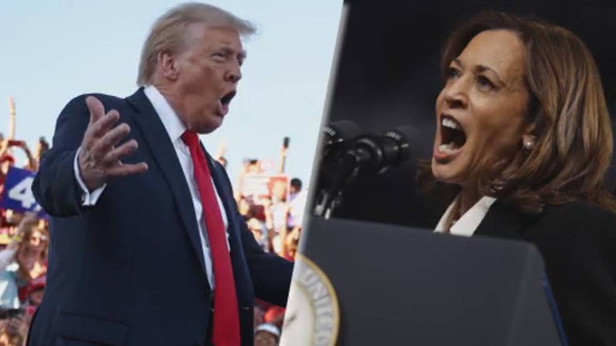 Click to play video: 'U.S. election 2024: Trump, Harris campaign in battleground states with 3 weeks left'