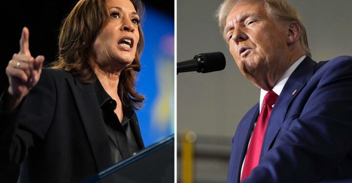 ‘Sleeping with an elephant:’ What will a Republican or Democrat win mean for Canada? - National