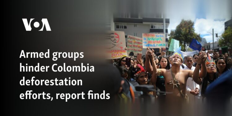 Armed groups hinder Colombia deforestation efforts, report finds