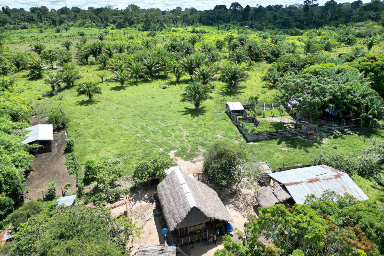 Las casas rústicas en las comunidades indígenas y campesinas de la reserva. Hay 42 comunidades dentro del Gran Manupare. Foto: Cortesía Revista Nómadas.