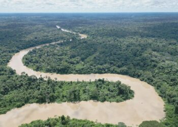 Mining and logging threaten Bolivia’s newest protected area