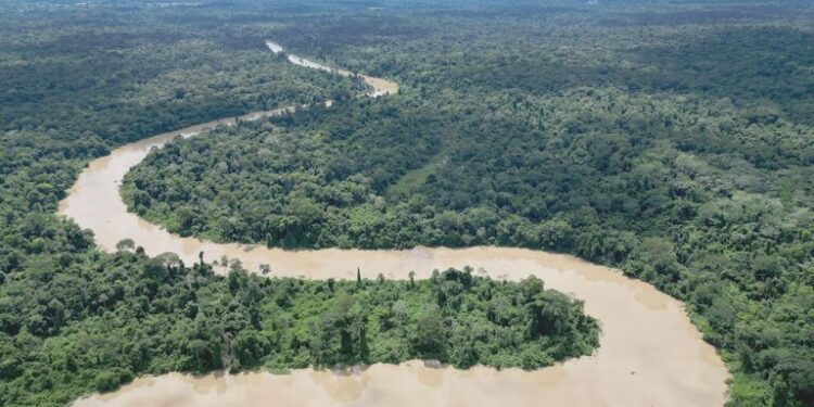 Mining and logging threaten Bolivia’s newest protected area