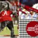 Alabama Homecoming Forecast and Detailed Hourly Temperature Guide