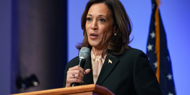 Gen Z Men Have Gloomy View of America, Spell Bad News for Kamala Harris