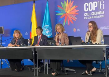 Kenya among beneficiaries of Kunming Biodiversity Fund at COP16