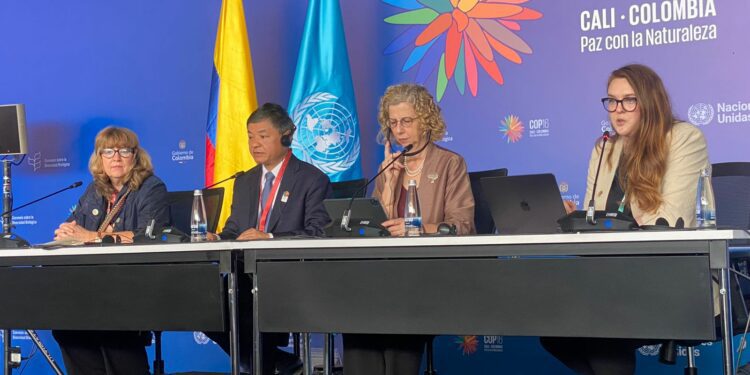 Kenya among beneficiaries of Kunming Biodiversity Fund at COP16