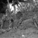 On This Day, Oct. 25: U.S. troops invade Grenada