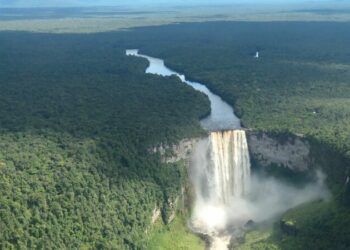 How Guyana is striving towards the 30×30 conservation target · Global Voices