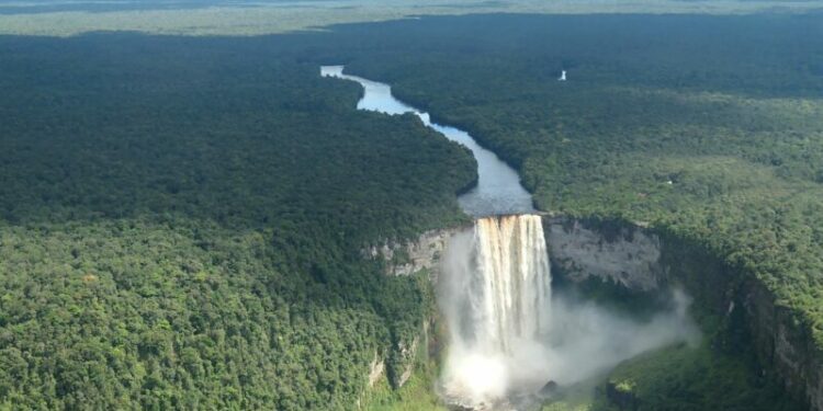 How Guyana is striving towards the 30×30 conservation target · Global Voices