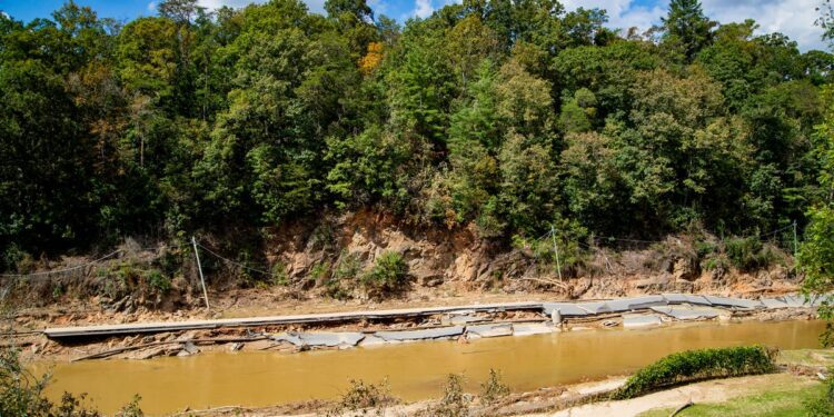 habitat and ecology upended in Western North Carolina