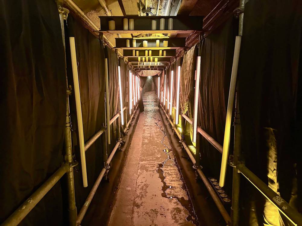 GORD MACKINTOSH / FREE PRESS
                                Mr. Happy allegedly pulls your hair in Casa Loma’s tunnel.